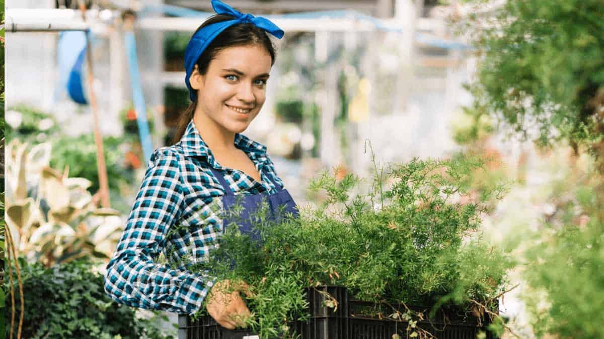 Aluminum vs. Wood Raised Garden Beds: Picking the Perfect Fit
