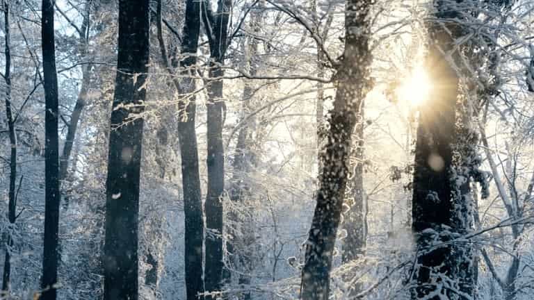 Your Complete Seasonal Home Maintenance Checklist (All Year Guide)