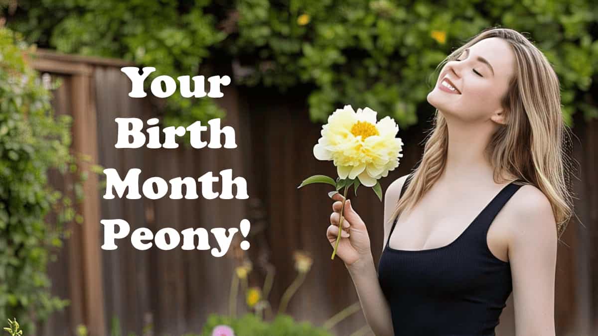 Which Peony Matches Your Birth Month