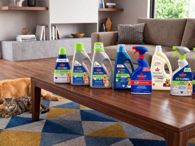 Which BISSELL Carpet Cleaner Is Right for Stains Pet Urine and Odors